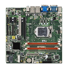 AIMB-503