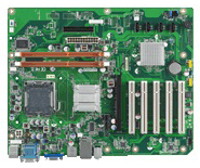 AIMB-769